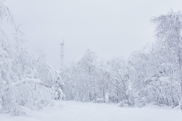 Связь – гарант комфортной жизни